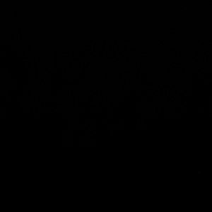 Meet your Posher, Tyanna